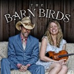 barn-birds-1